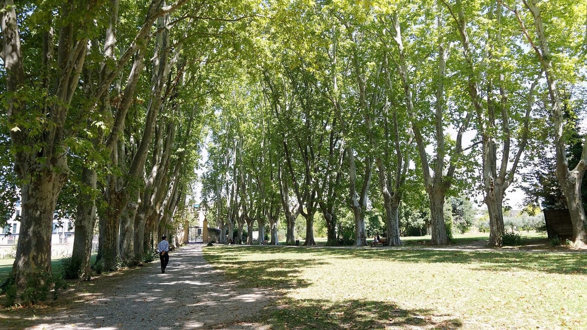 Faut-il accepter la première offre d'achat à Aix-en-Provence ?